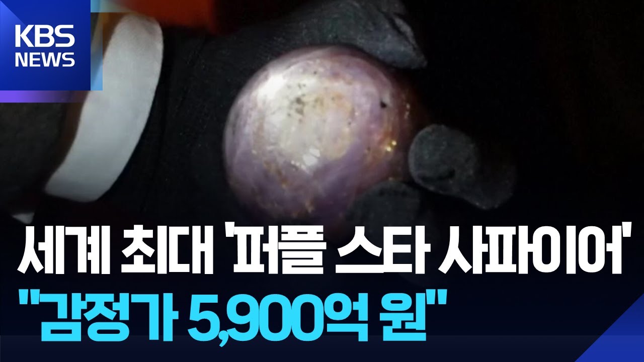 세계 최대 &lsquo;퍼플 스타 사파이어&rsquo; 공개&hellip;&ldquo;감정가 5,900억 원&rdquo; [잇슈 SNS] / KBS  2026.01.22.