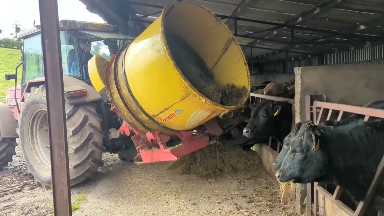 Mf6170 and teagle tomahawk round bale shredder
