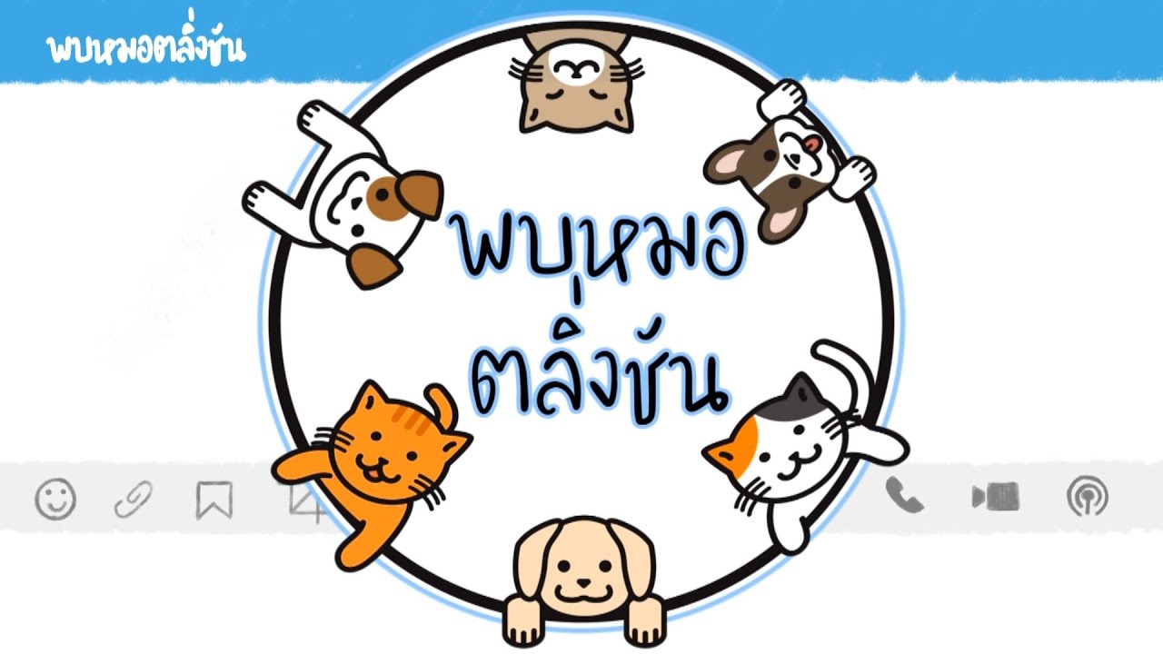 ทำความรู้จัก..โรคข้อสะโพกเสื่อมในสุนัข กับคุณหมออุ้ม (สพ.ญ.มณีรัตน์ วรกุลสันติ)