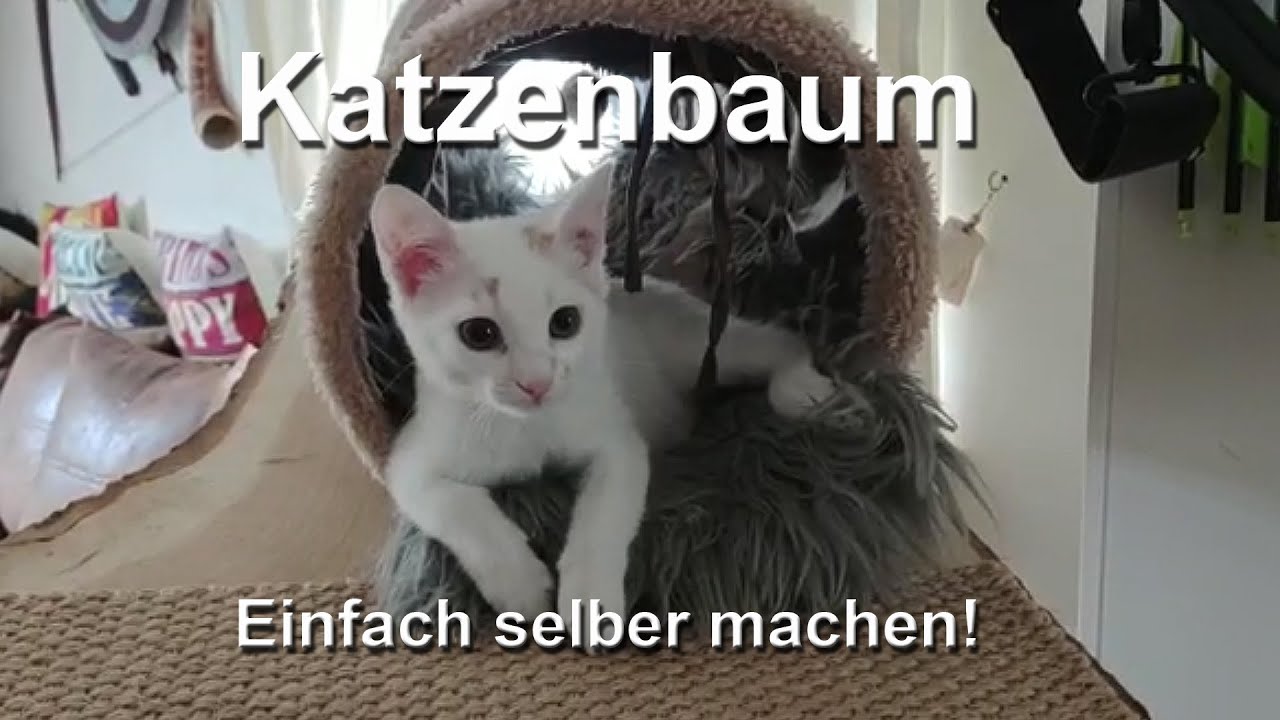 Katzenbaum einfach selber machen, zum Großteil aus Resten.