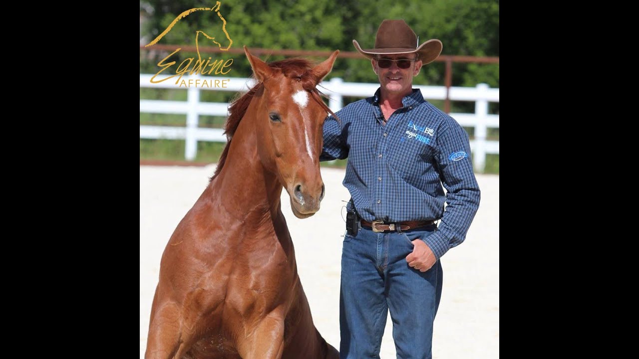 Equine Affaire Educational Program - Warwick Schiller on Working Your Horse from the Ground