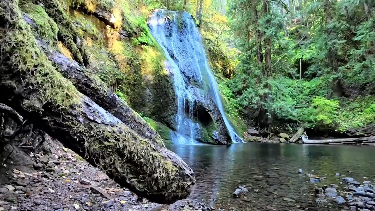 Waterfall for Deep Sleep, & Insomnia Relief | 3 Hours #asmr #waterfallsounds #nature