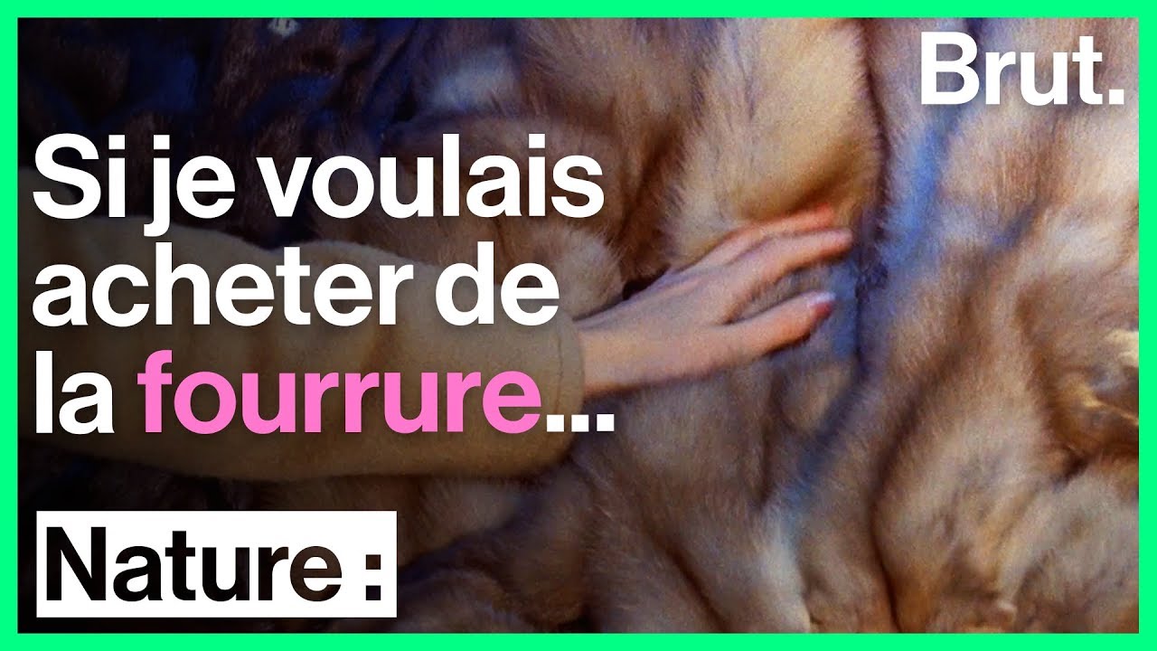 Si je voulais acheter de la fourrure...