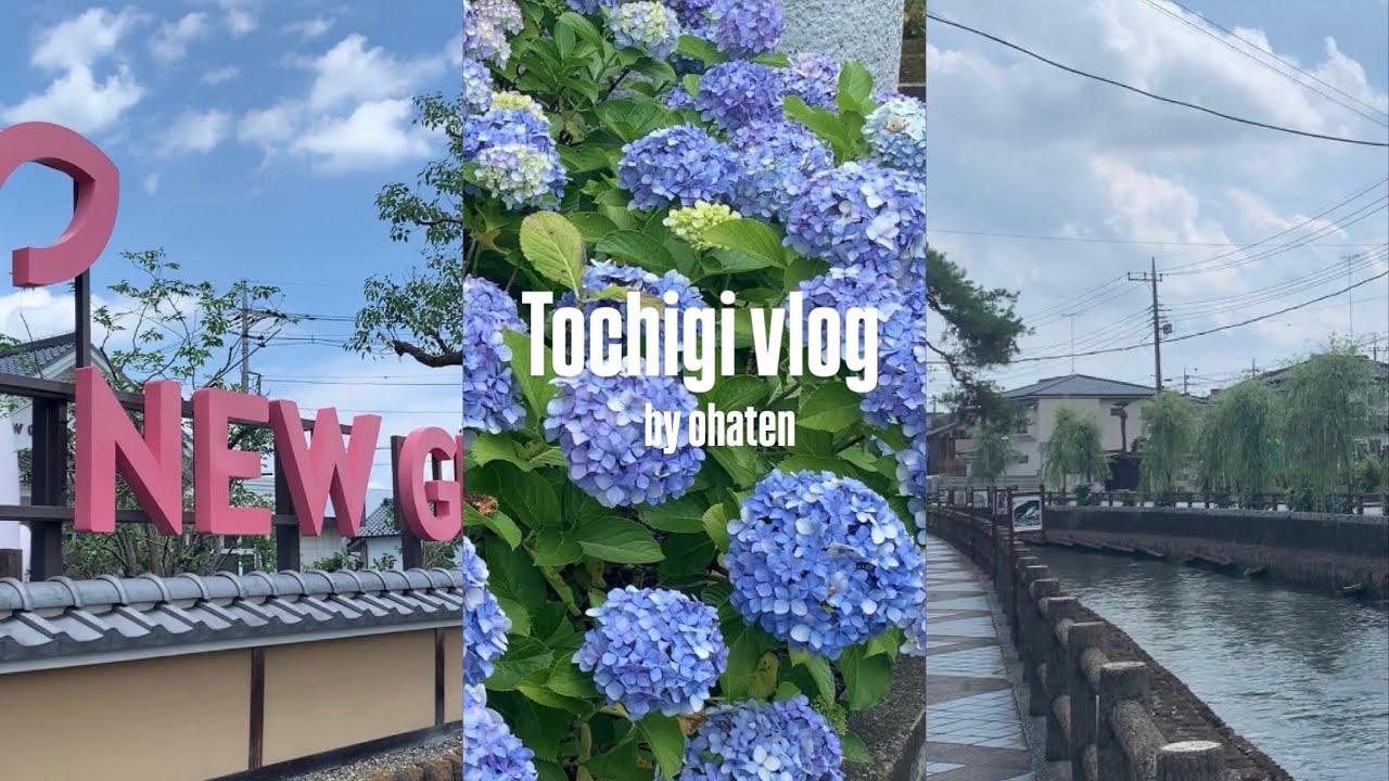 〔おでかけvlog〕栃木日帰りひとり旅｜栃木駅｜岩下新生姜ミュージアム｜スタバメダル集め
