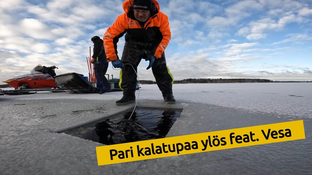 Madepyydöillä 004/2023