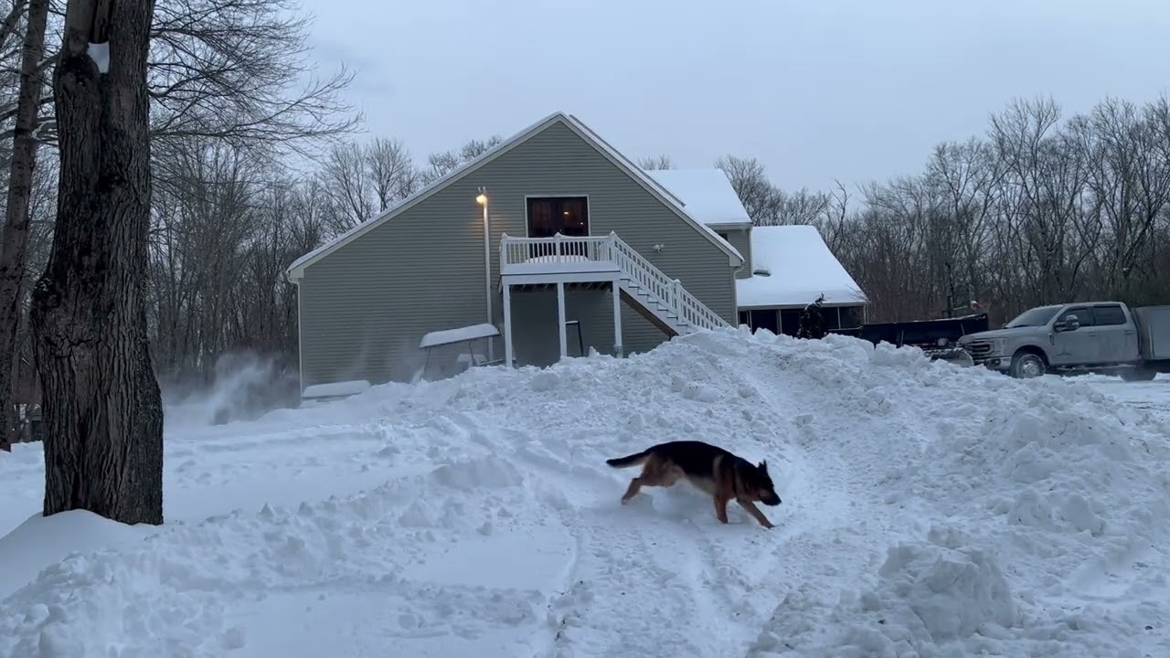 Snow fun