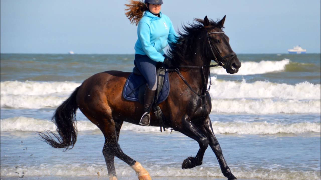 Ponyhof zomer week 2 2016 Woezel
