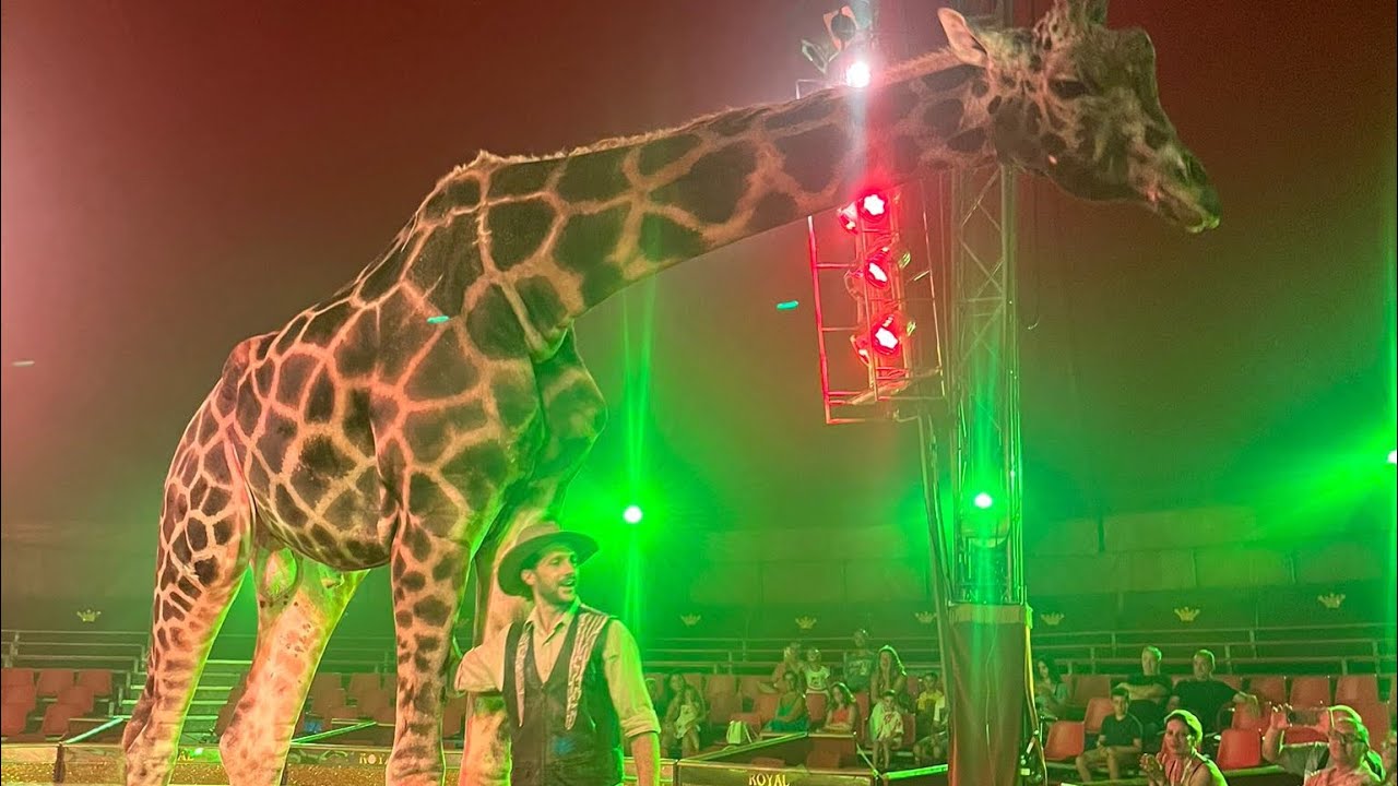 ESOTICO - IMPERIAL ROYAL CIRCUS! Circhi_in_Italia