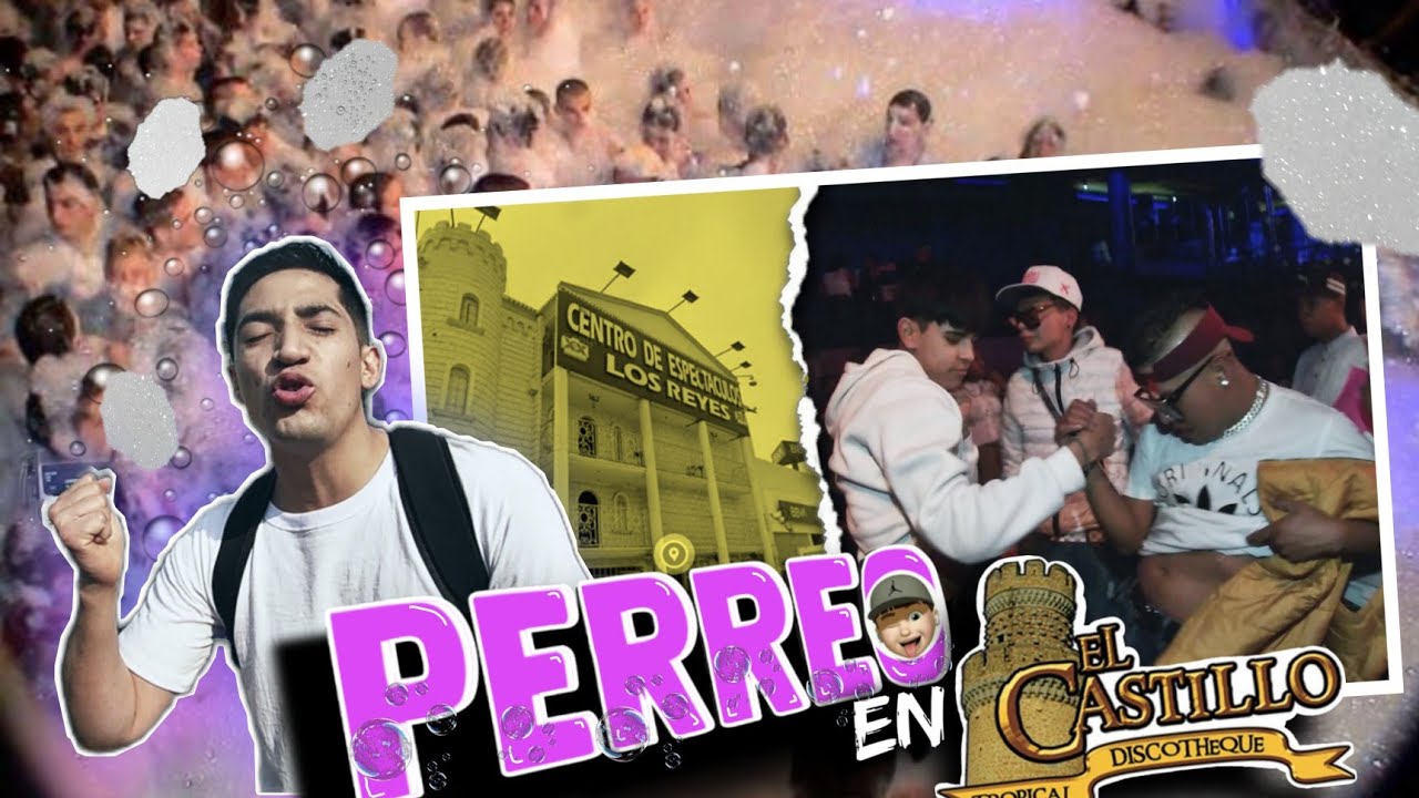 Así se arman Los PERREOS en 