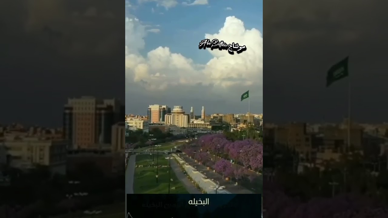 الراس الاصوك مايحب المذله                        اداء المبدع سيف المنصوري