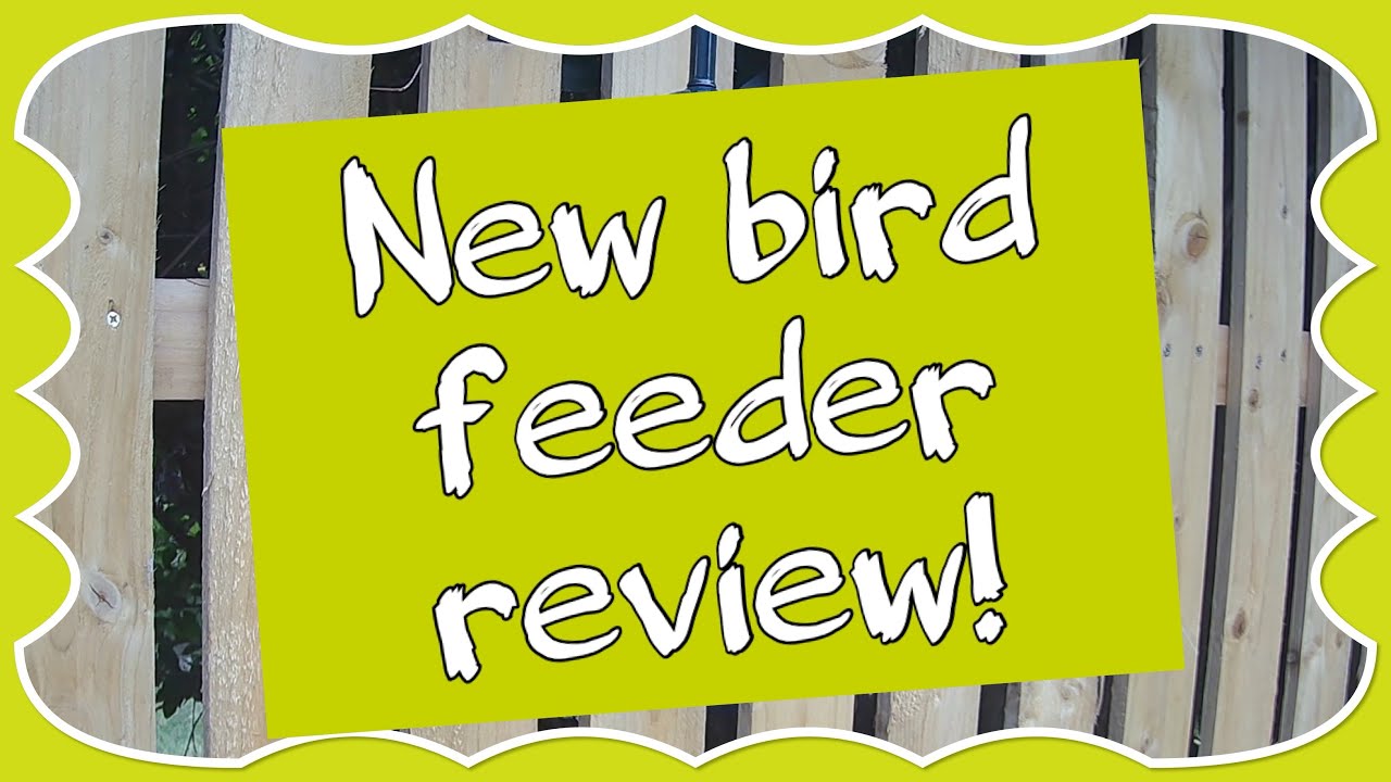 The Brome squirrel buster bird feeder review, is it squirrel and starling proof? Let’s find out