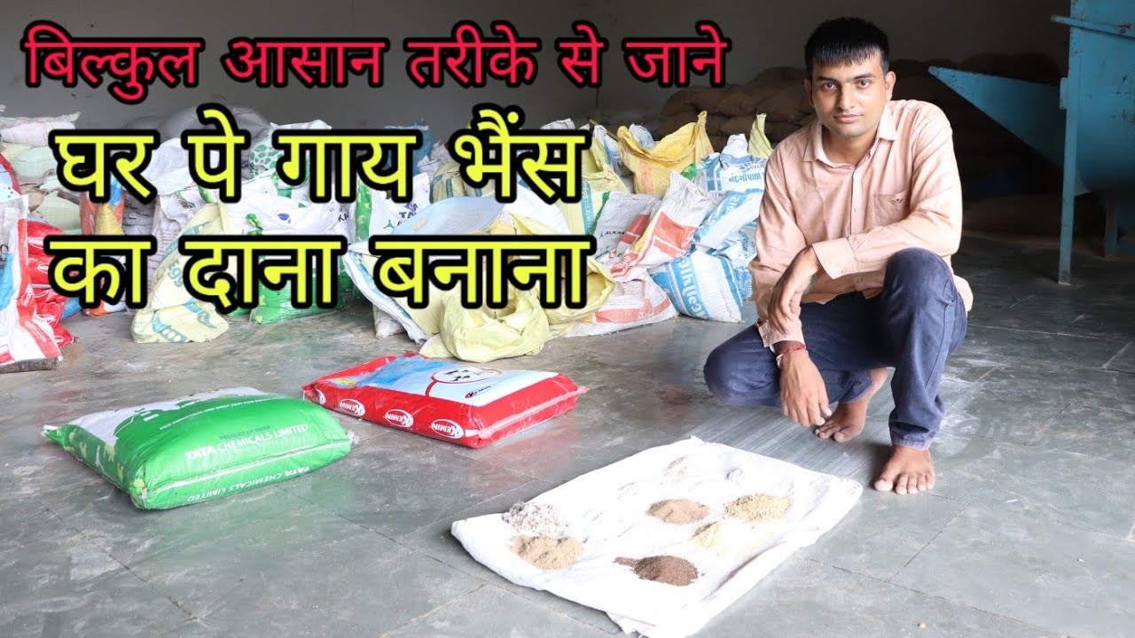 दाना बनाना सीखें गाय भैंस का बिल्कुल आसान तरीके से feed cow buffaloes making