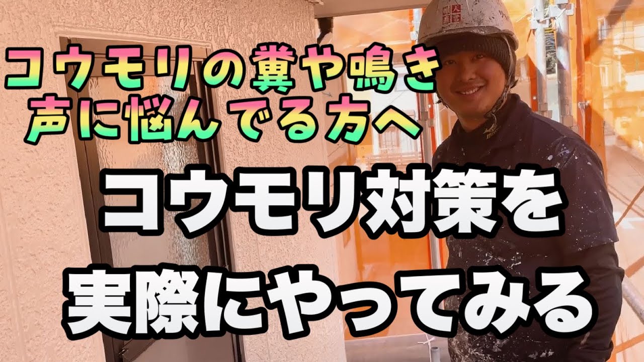 【DIY】コウモリ軒下対策のやり方や注意点