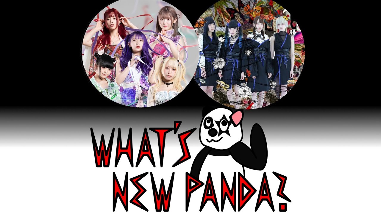 What`s new Panda? Folge 006 - Zenbu Kimi no Sei da./Yukueshirezutsurezure
