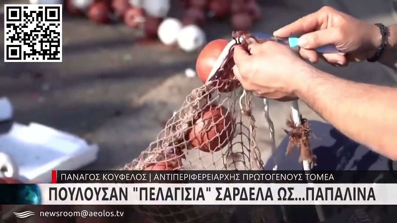 Ιχθυοπώλες Πουλούσαν Πελαγίσια Σαρδέλα ως... Παπαλίνα Καλλονής!