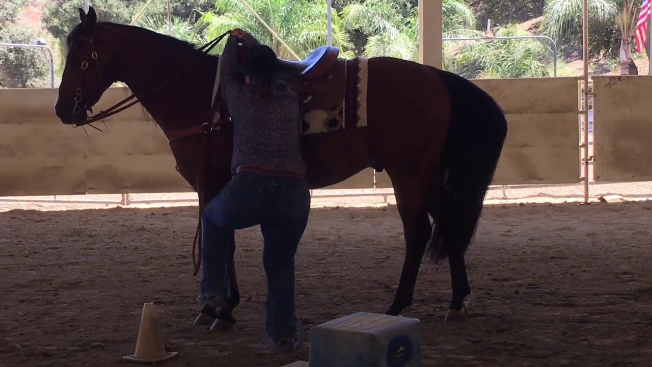 Jennifer Eliot & Surprized By Chic Select Amateur Trail