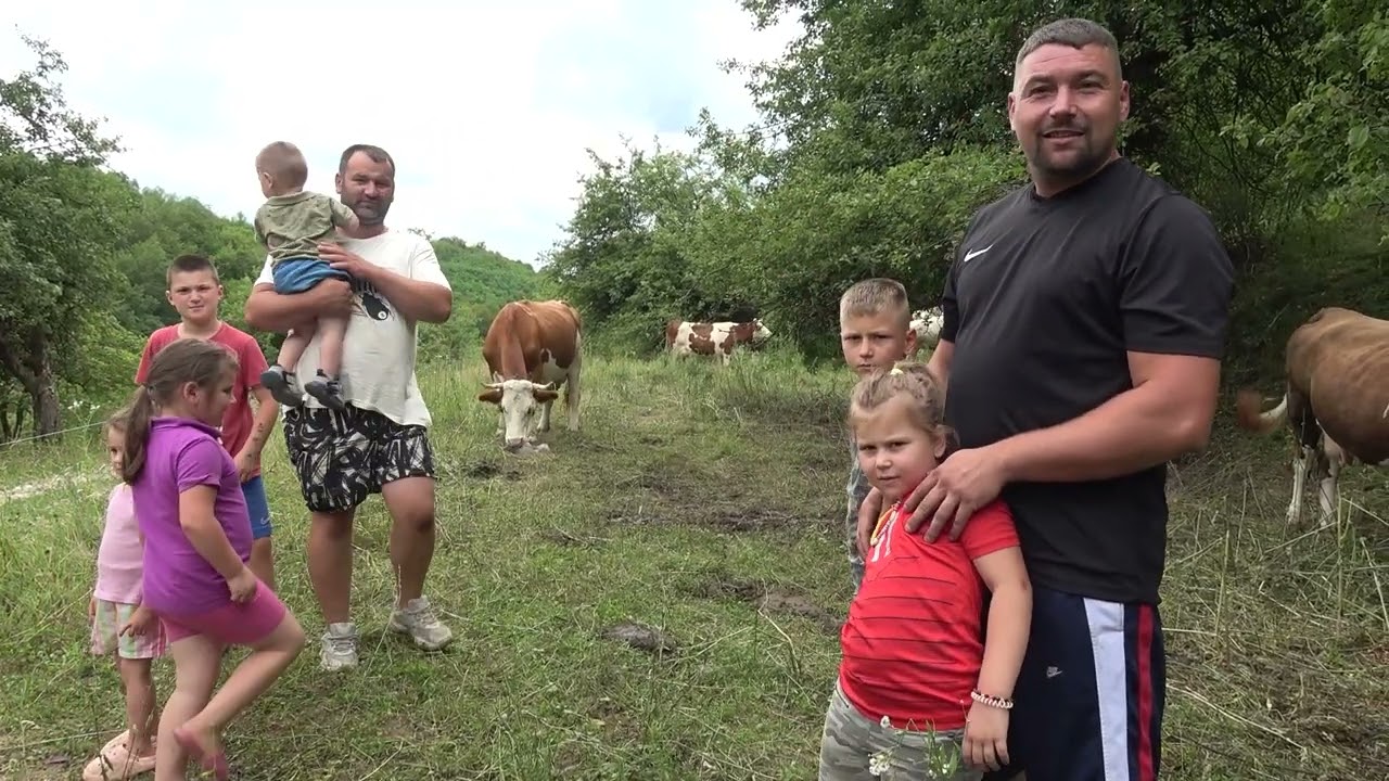 Vacile familiei Petrut de la Catcau, Cluj - 2025 Nou!!!