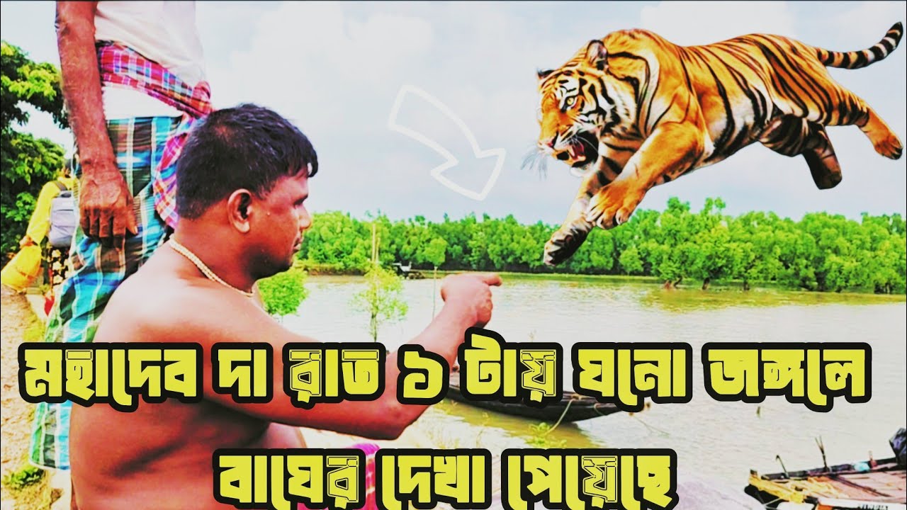 বাঘ আসতেই জলে ডুবে ৫০ হাত দূরে অপেক্ষা করলাম //Sundarban //Tiger Attack in Sundarban //Chamta