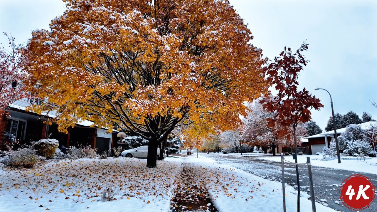 First Snowfall of Winter 2025 ❄️ | Peaceful Morning Walk in Ontario, Canada | ASMR City Ambience