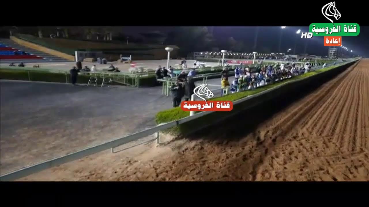 Frusiya Channel-1 بث مباشر من قناة الفروسية للمخرج ناصر محمد الصقيه