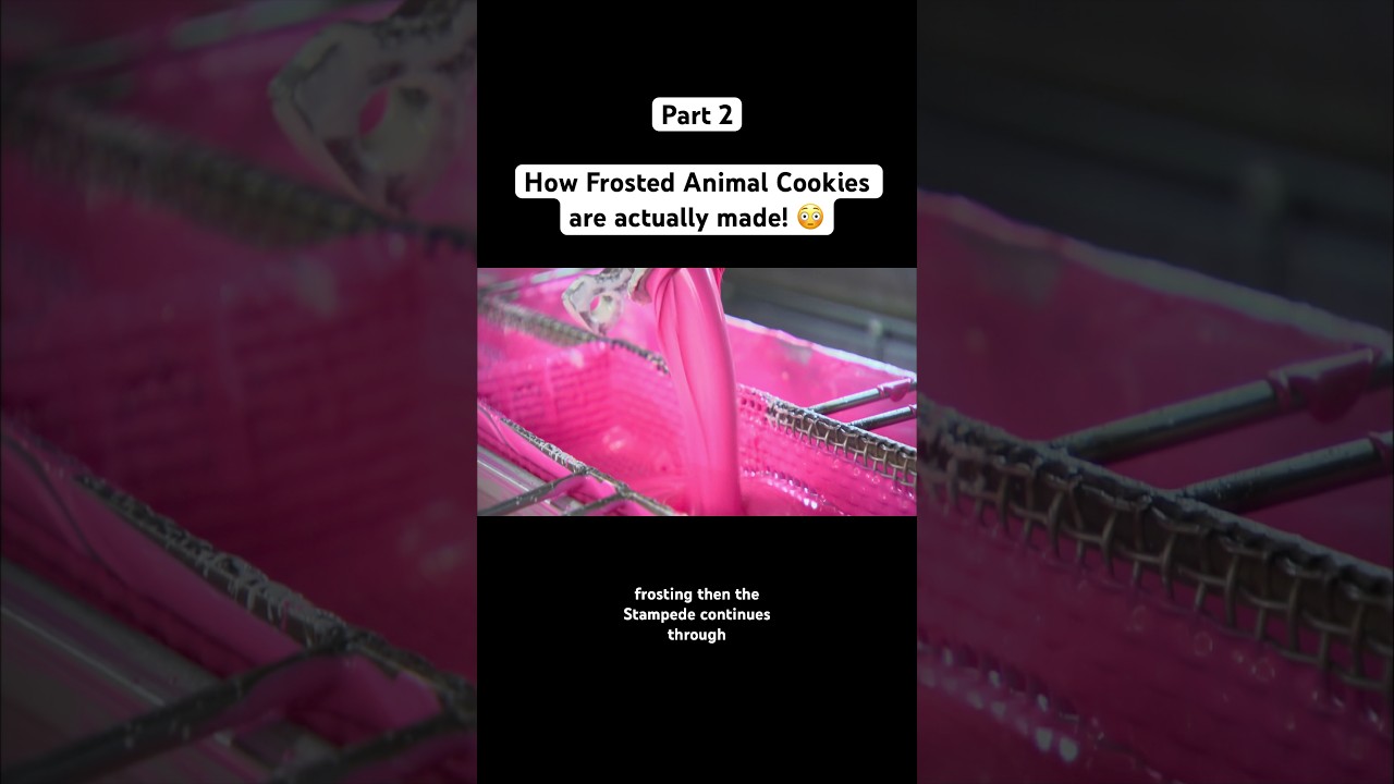 How Frosted Animal Cookies are actually made! 😳 Part 2 #animalcookies #animalcrackers