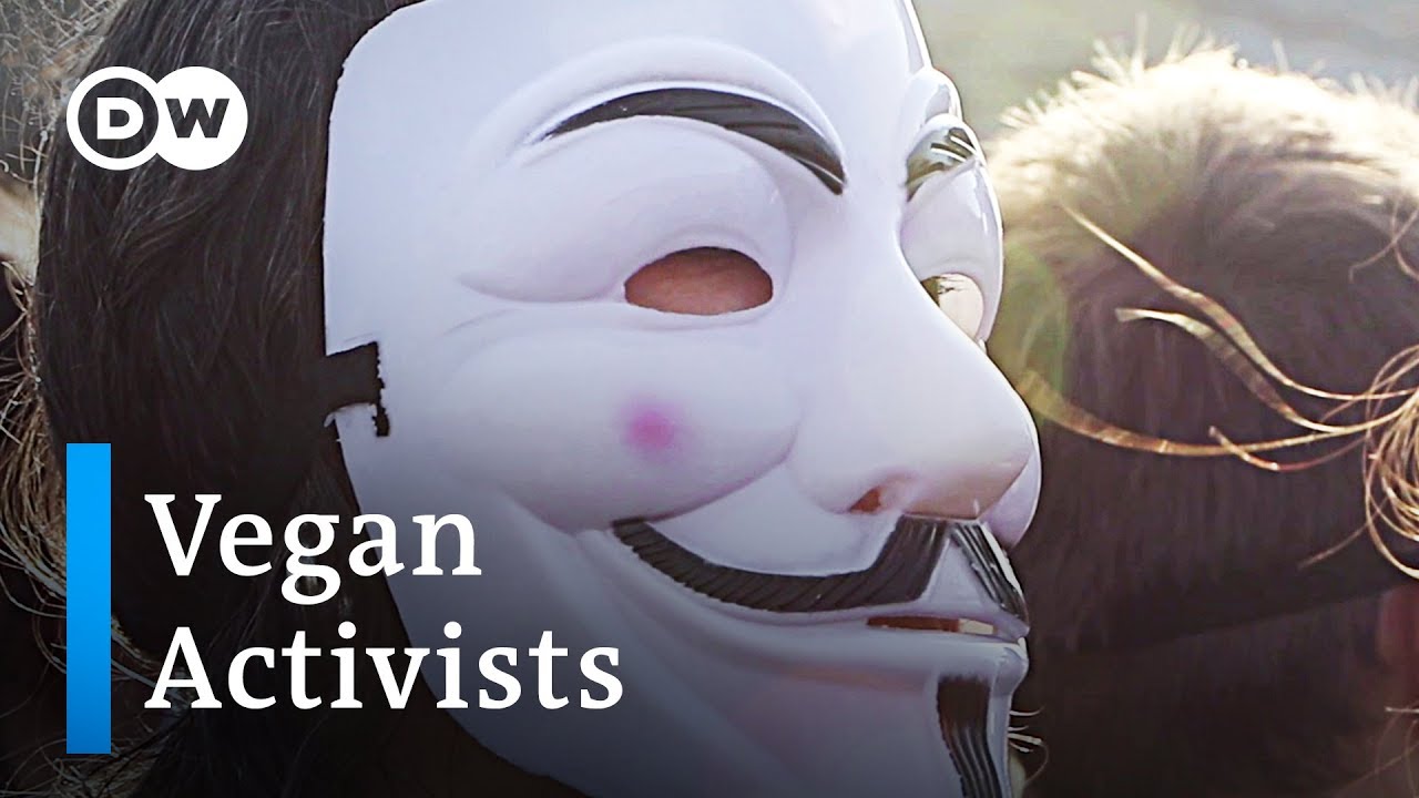 Vegan activists unmask the cruelty of animal agriculture | DW Stories
