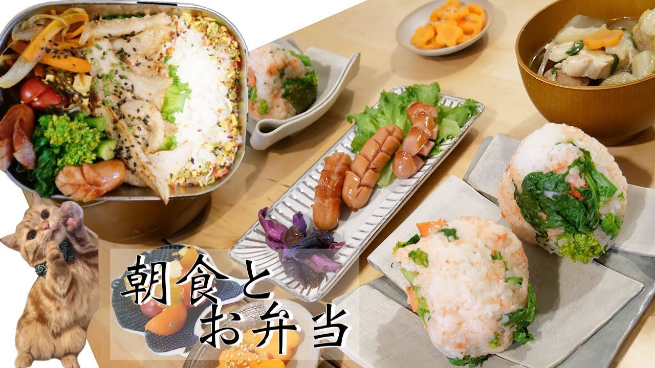 【料理動画50】編集中の猫と春色おにぎり朝食と豚トロ弁当【猫動画】【English sub】