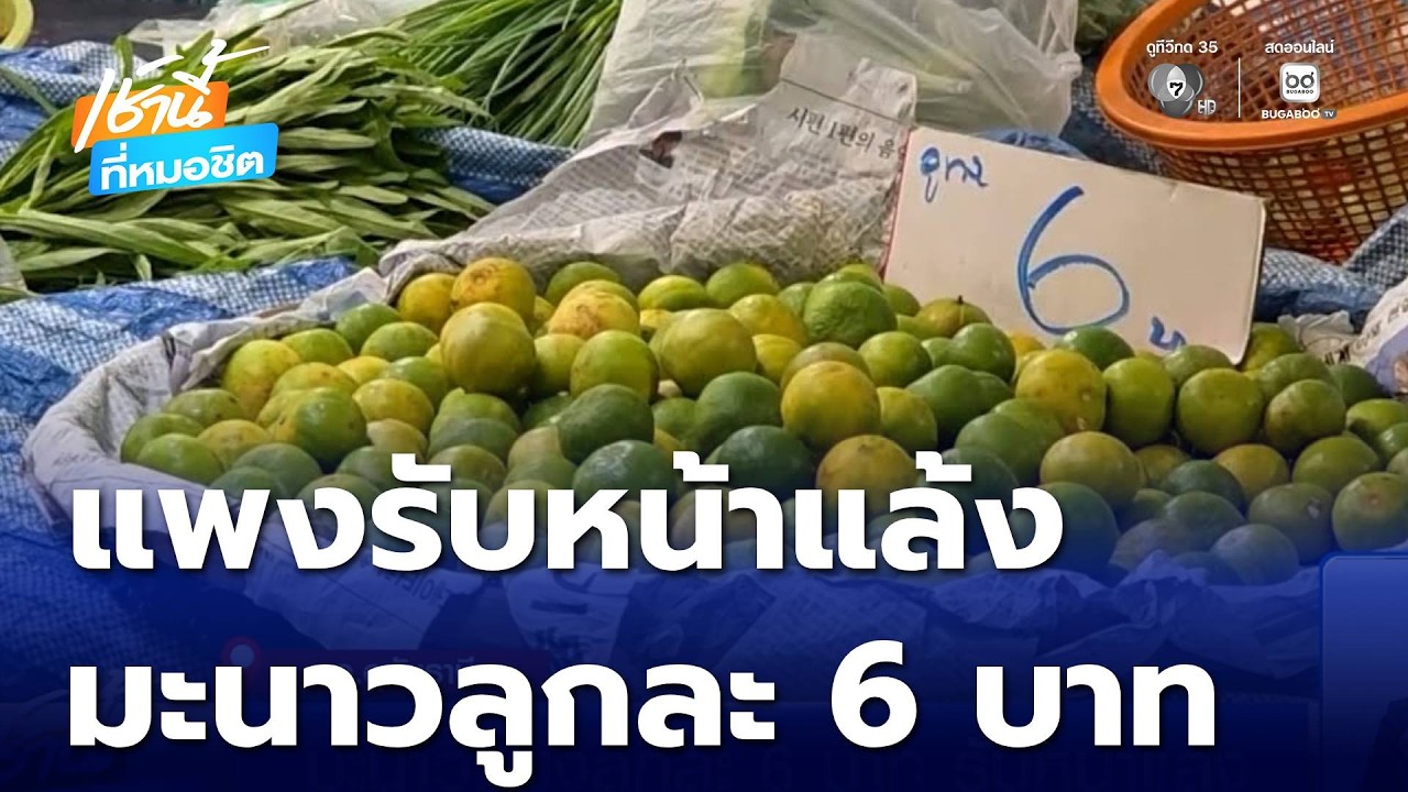มะนาวแพงลูกละ 6 บาท รับหน้าแล้ง | เช้านี้ที่หมอชิต