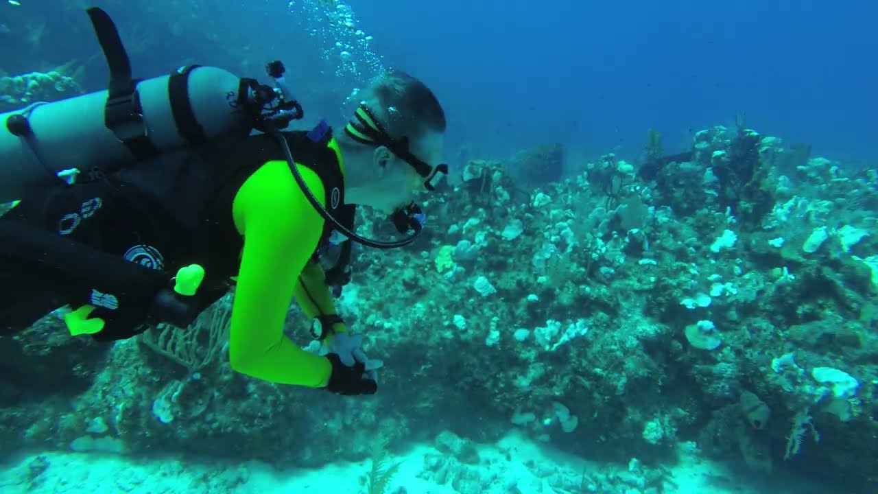 Little Cayman '23   Day 2   Dive 2
