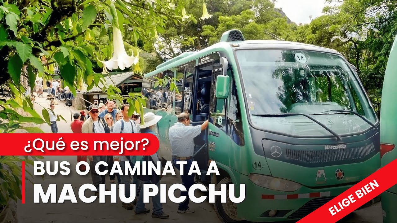 Todo sobre Bus a Machu Picchu 🥇 🌄 2025 Actualizado ✅