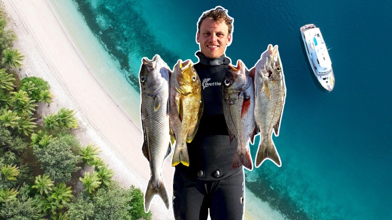 SPEARFISHING FIJI: Spanish Mackerel, Emperors, Jobfish, Mu & More