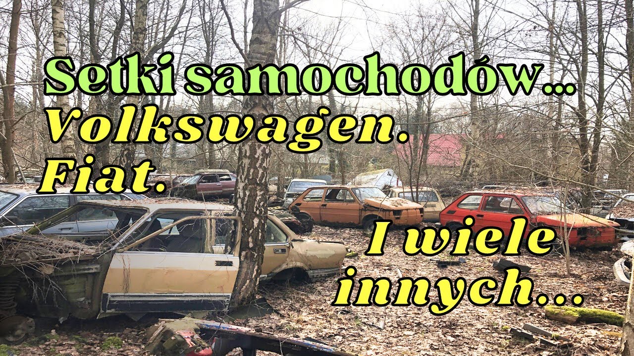 Porzucone cmentarzysko samochodów 
