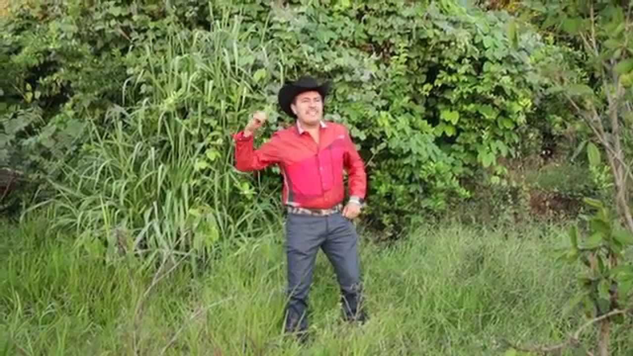 ABEL LEMUZ  Y SU GRUPO EL BUENO   VIVITO Y COLEANDO 2015