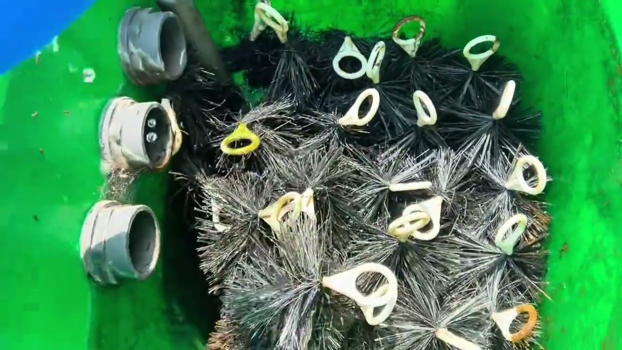 小鱼池沉淀桶过滤！ 没有过滤棉的过滤系统，免洗棉过滤#鱼池过滤