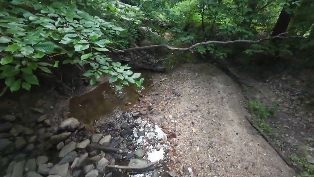 Bench to Bench - Virtual Hike with no commentary for treadmill use.