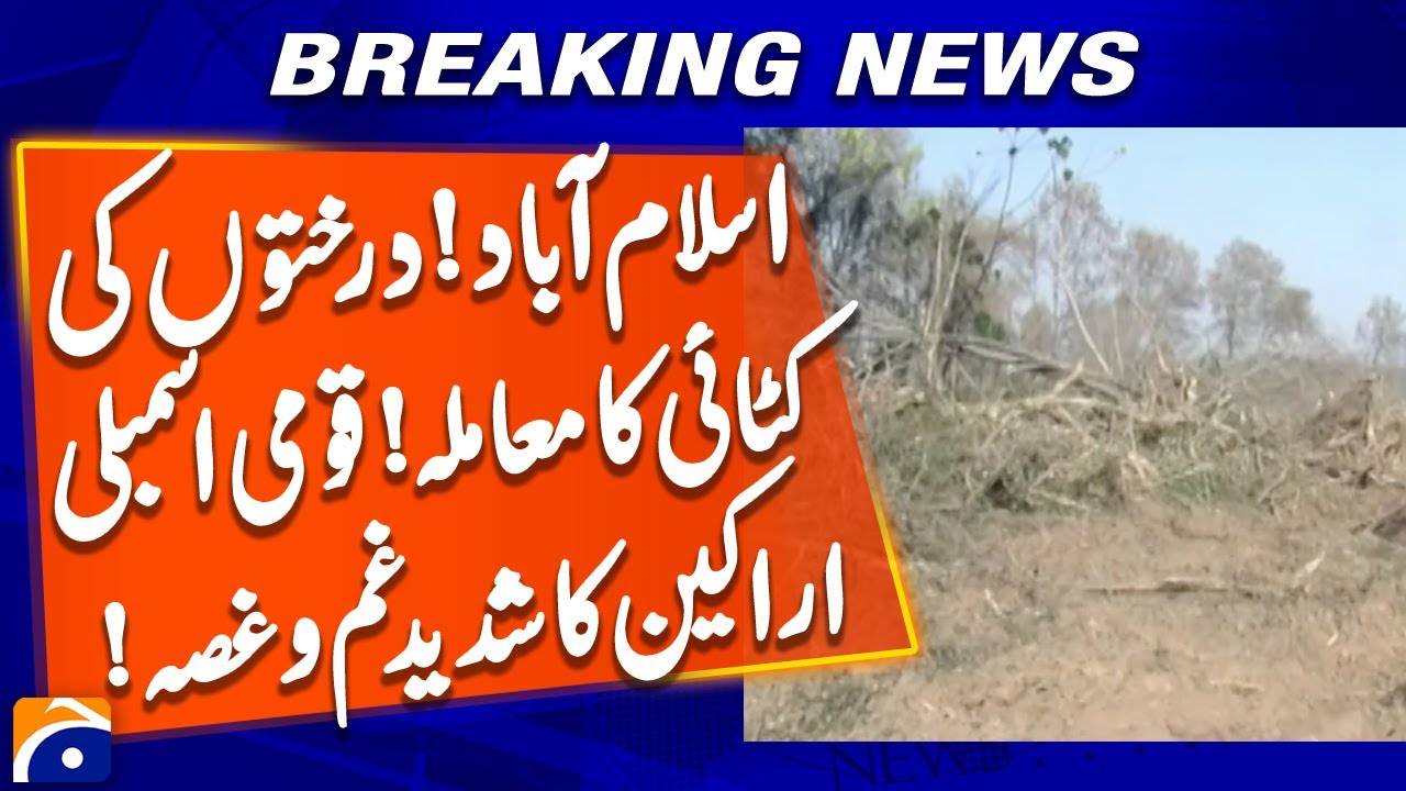 Islamabad - Issue of Tree Felling - National Assembly Members were very angry | Geo News