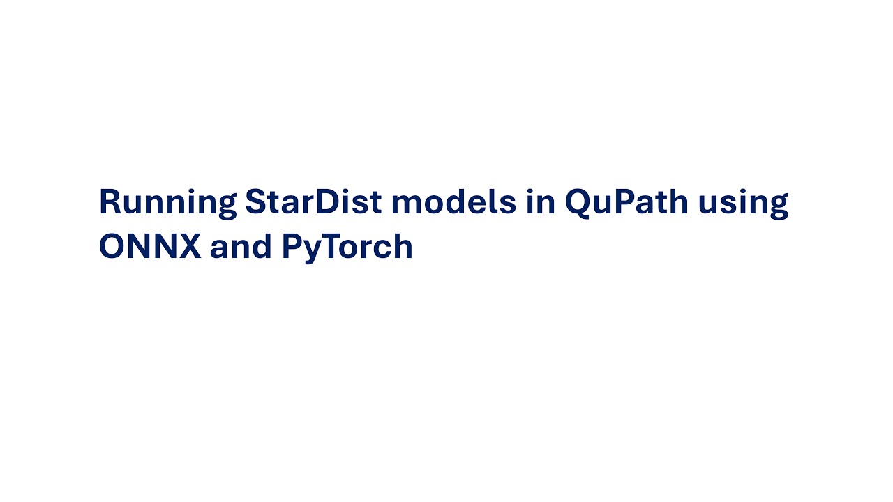 Running StarDist models in QuPath on Windows 11 using ONNX and PyTorch with GPU support