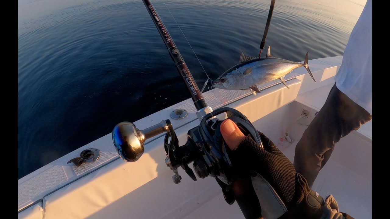 JIGGING FOR TUNA IN OMAN - FISHMAN BC4 510MXH #fishman #jigging #baitcasting