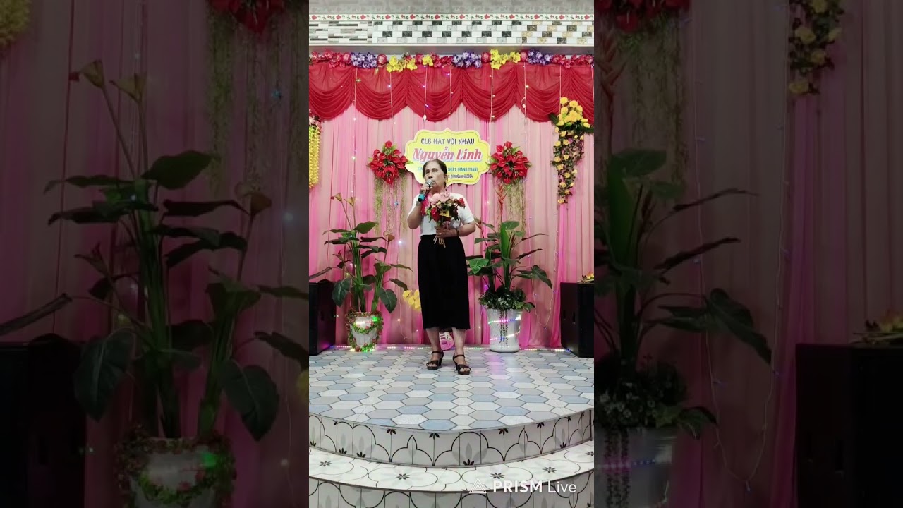 🌺💞💓 CK 🌺 MÙA XUÂN TRÊN THÀNH PHỐ HỒ CHÍ MINH 🌺 NGỌC THI 🌺TB🌺🌺🌺