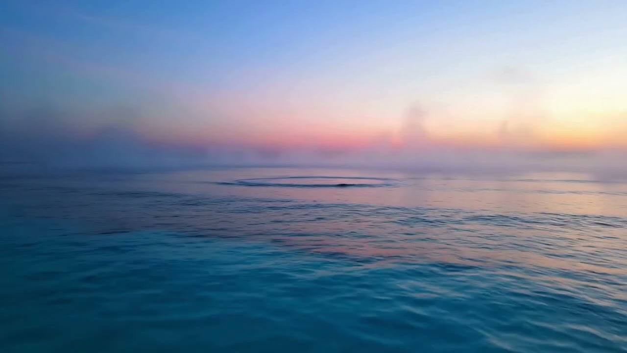 ✨💖🕊️Meditation 