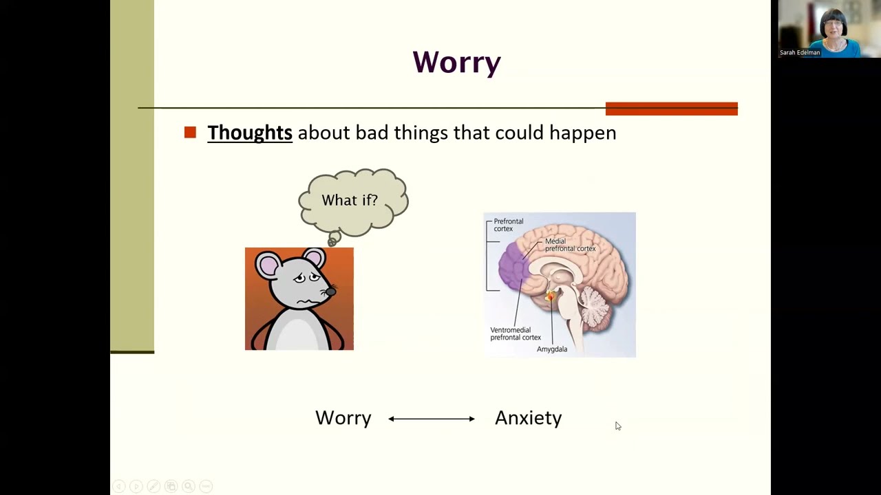 Don't Worry, Be Happy!      Strategies for managing worry and Generalised Anxiety Disorder.