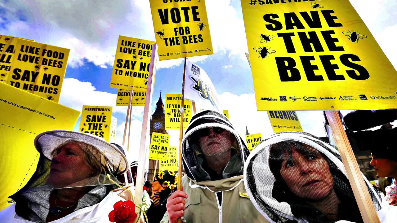 Pollinator Protection Educational Video: Legislators