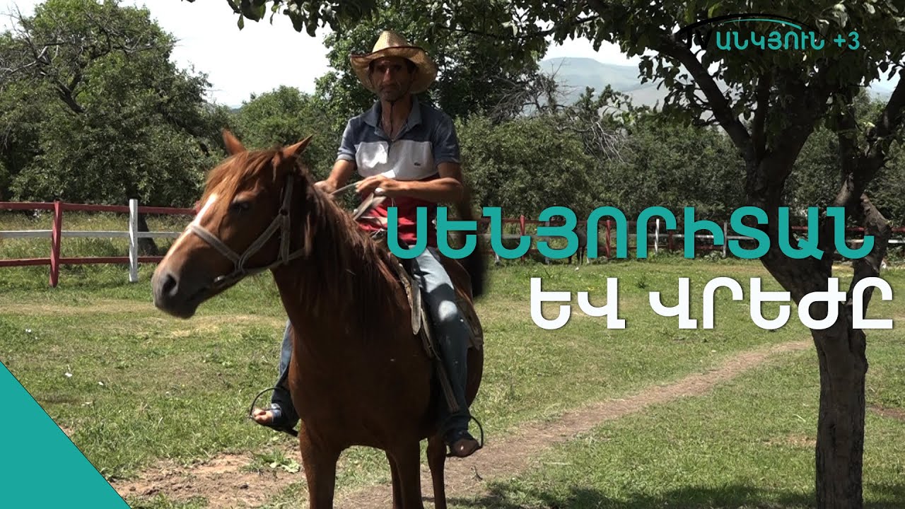 Մի ձիարշավարանի պատմություն
