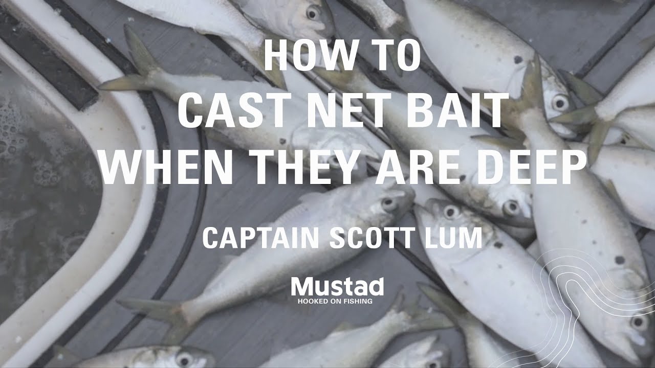 How to Cast Net for Deep Bait Fish | Mustad Fishing