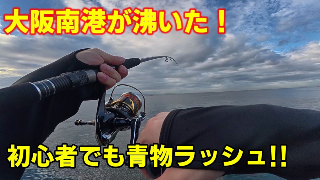 【爆釣警報】秋の大阪湾・南港新波止でショアジギング！初心者でも青物が入れ食い状態に…
