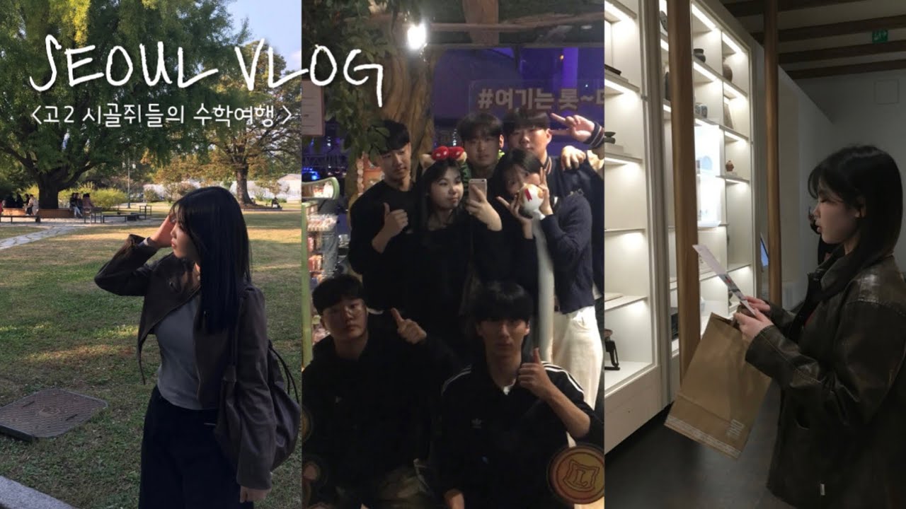 vlog. 시골쥐의 서울구경 • 고2 수학여행 브이로그 • 남녀공학 •08