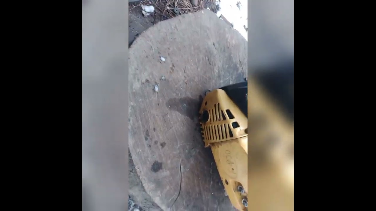 сравнение двух бензопил одноручек.