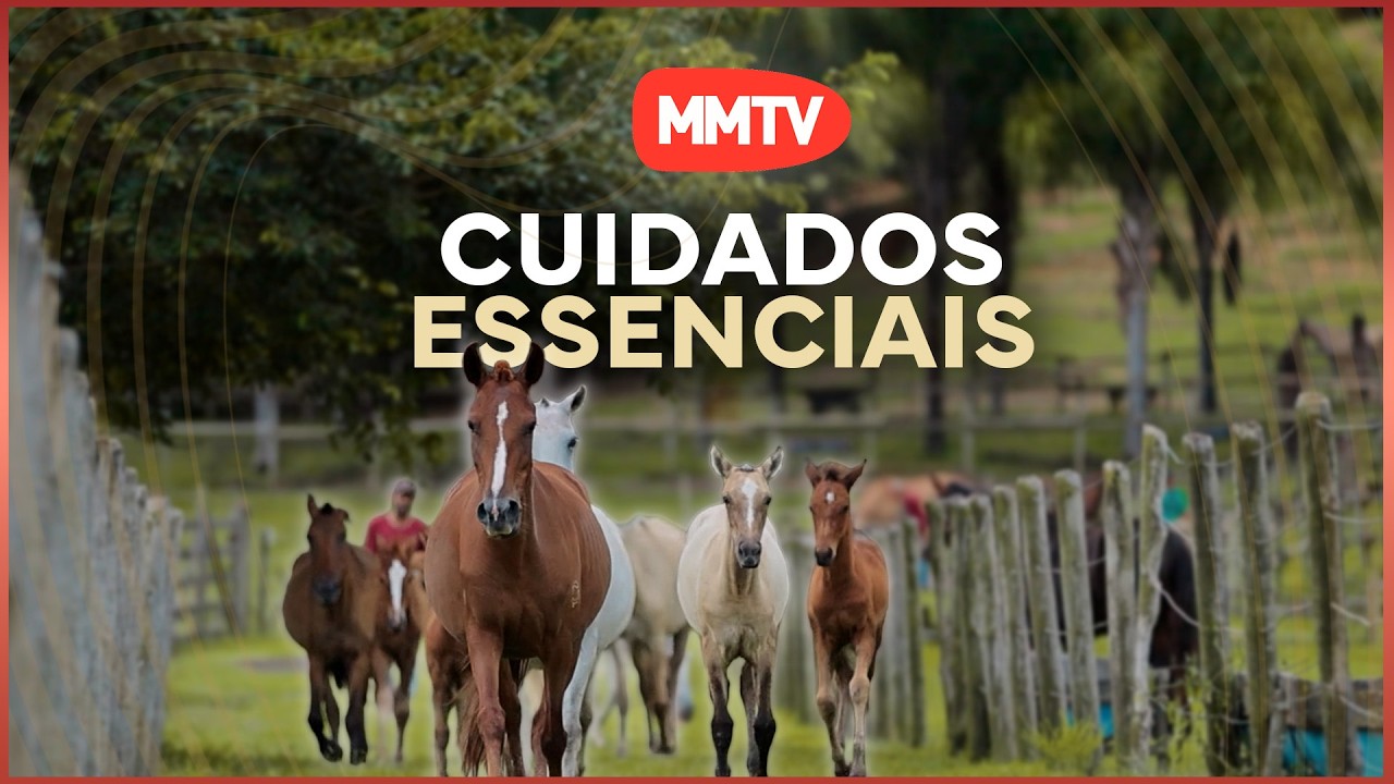 MANEJO NO PERÍODO CHUVOSO