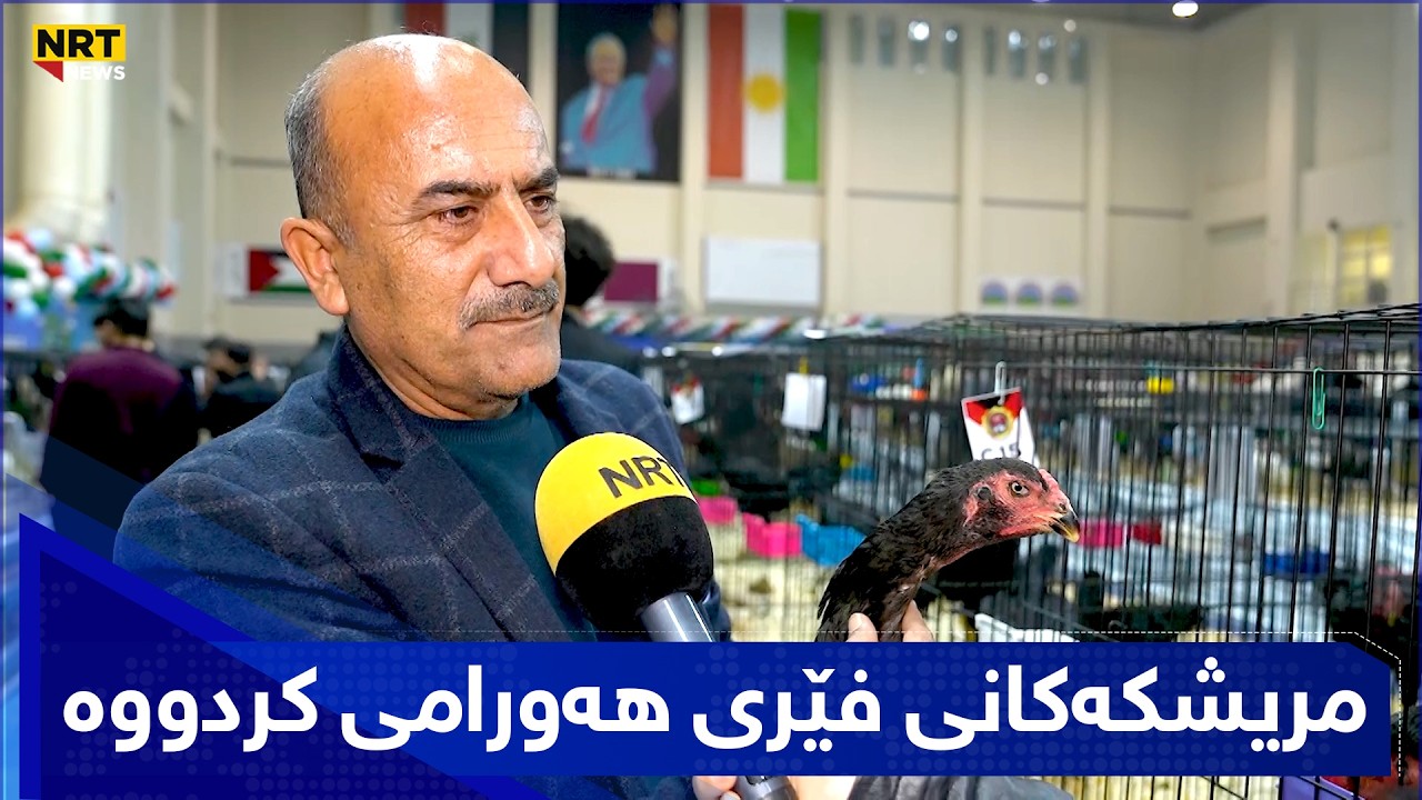 مریشکەکانی فێری شێوەزاری هەورامی کردووه و دەڵێت: بە قسەشم دەکەن