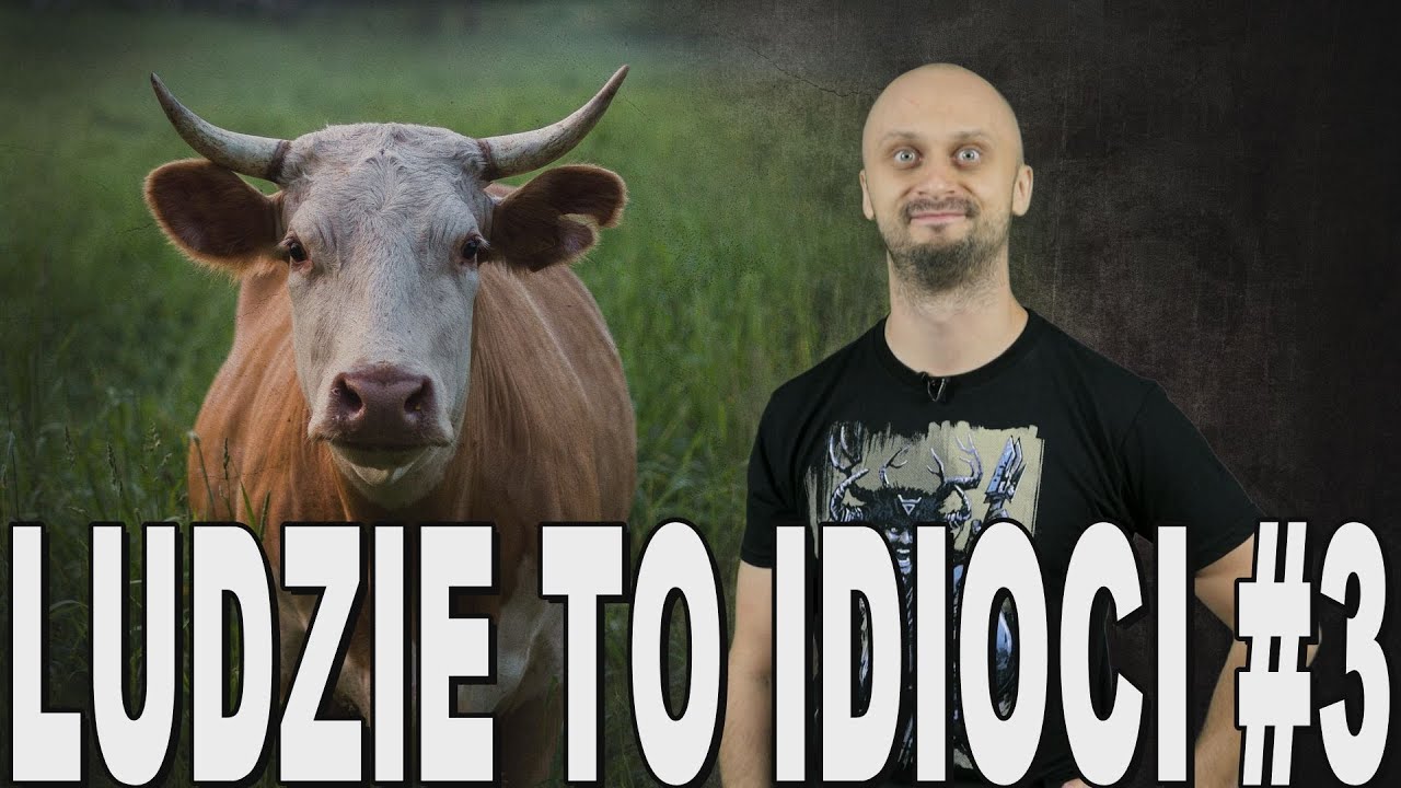 Ludzie to idioci #3 - najgłupsze wojny w historii. Historia Bez Cenzury